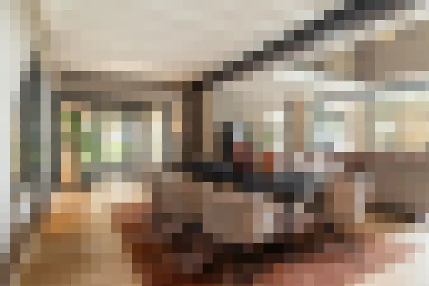 Bloemendaalse Zeedijk 2 a 3 Zevenbergschen Hoek thumbnail 17