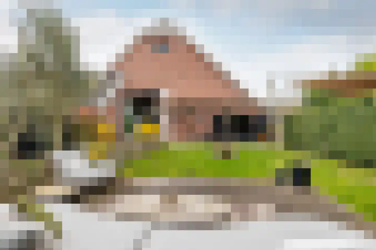 Bloemendaalse Zeedijk 2 a 3 Zevenbergschen Hoek thumbnail 45