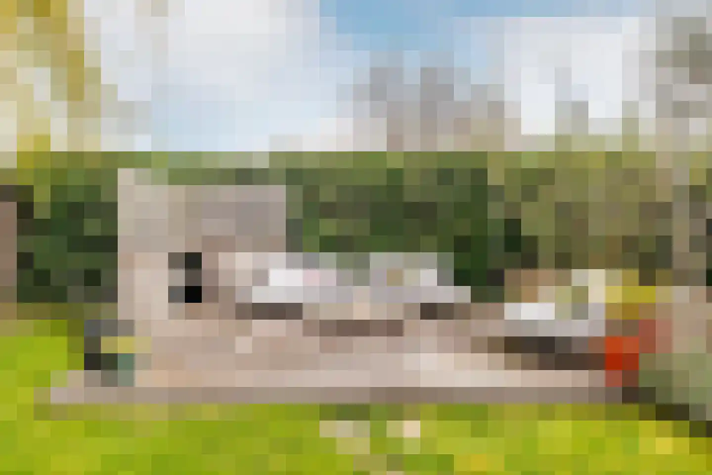 Bloemendaalse Zeedijk 2 a 3 Zevenbergschen Hoek thumbnail 48