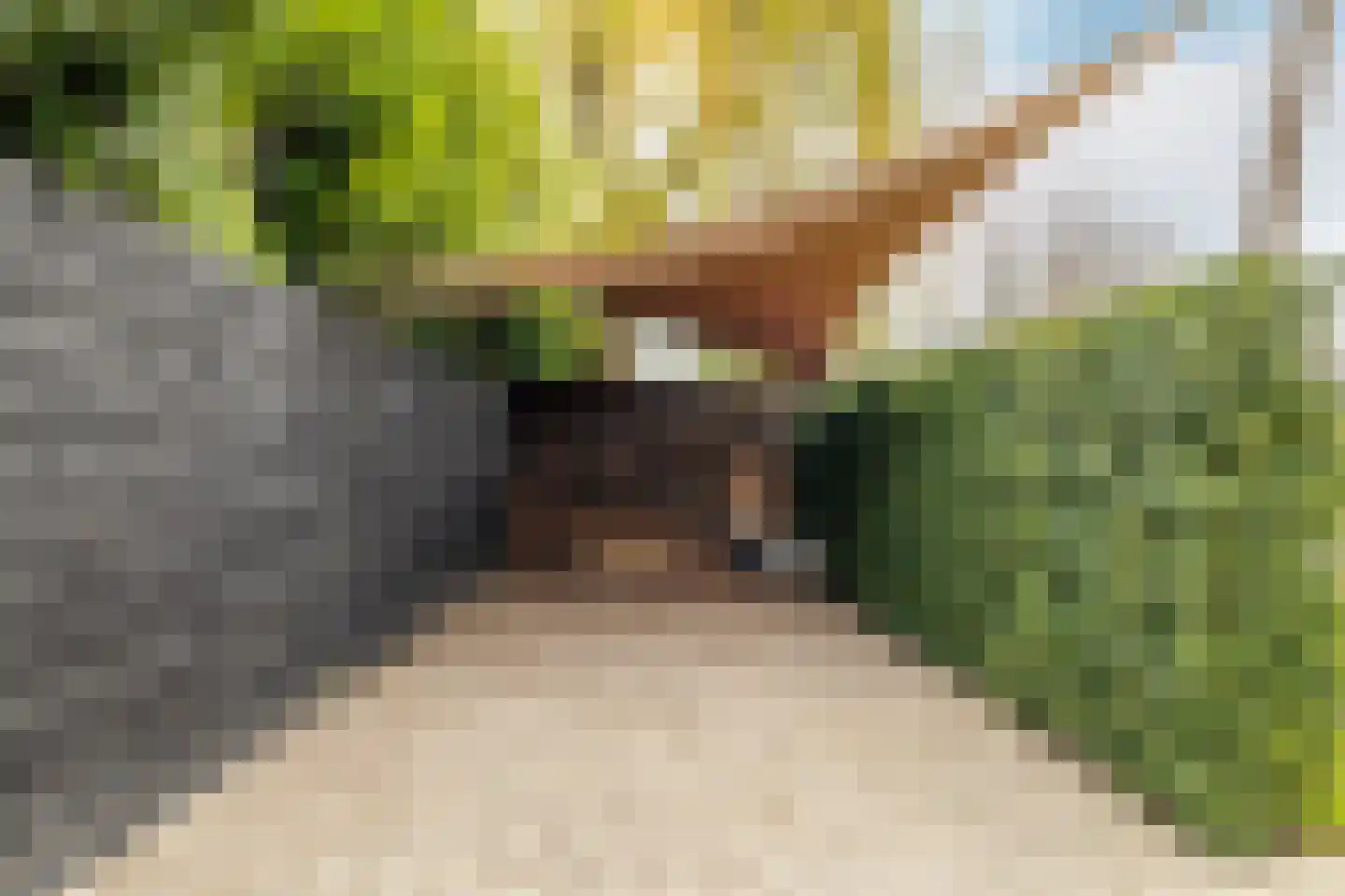 Bloemendaalse Zeedijk 2 a 3 Zevenbergschen Hoek thumbnail 49