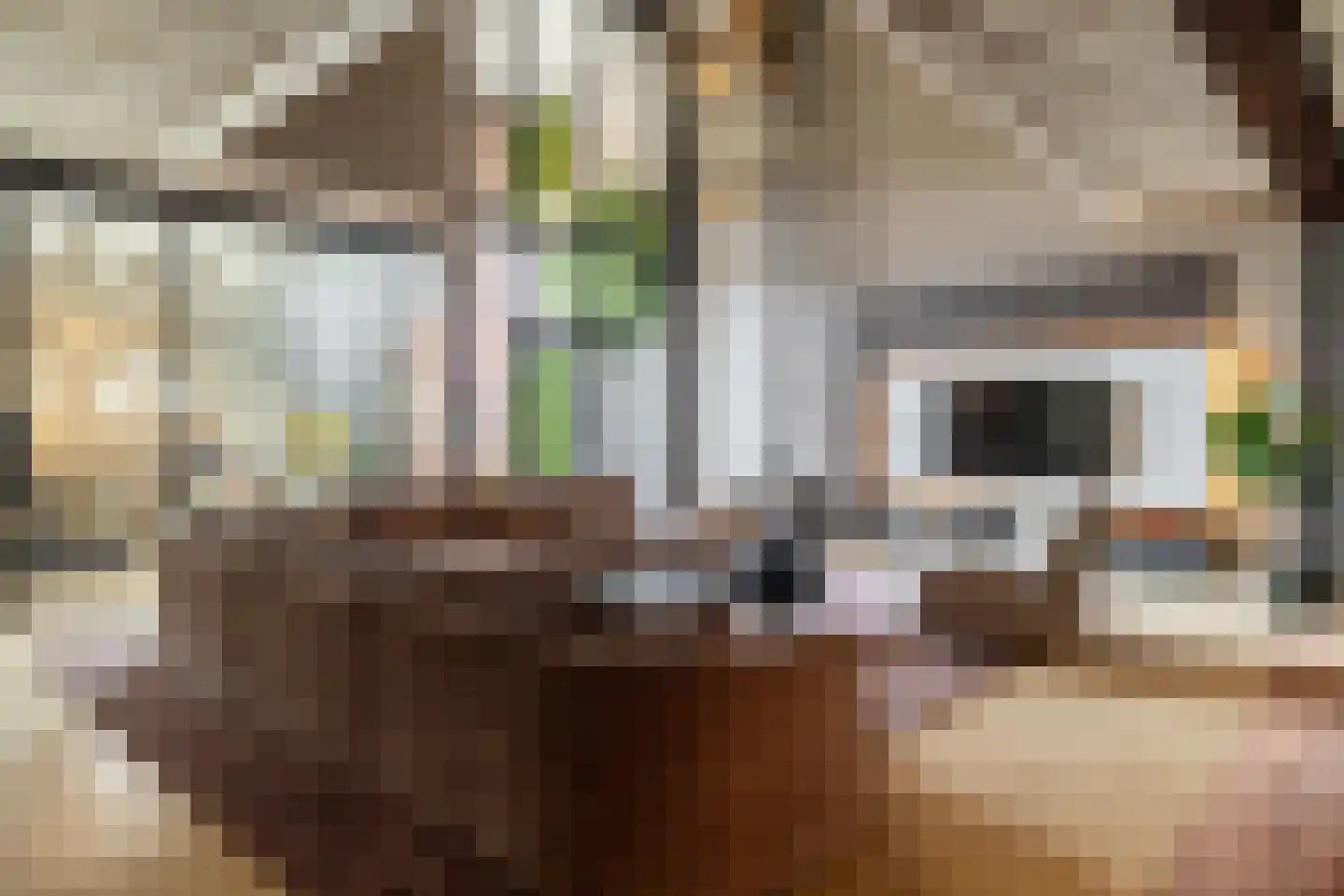 Bloemendaalse Zeedijk 2 a 3 Zevenbergschen Hoek thumbnail 9
