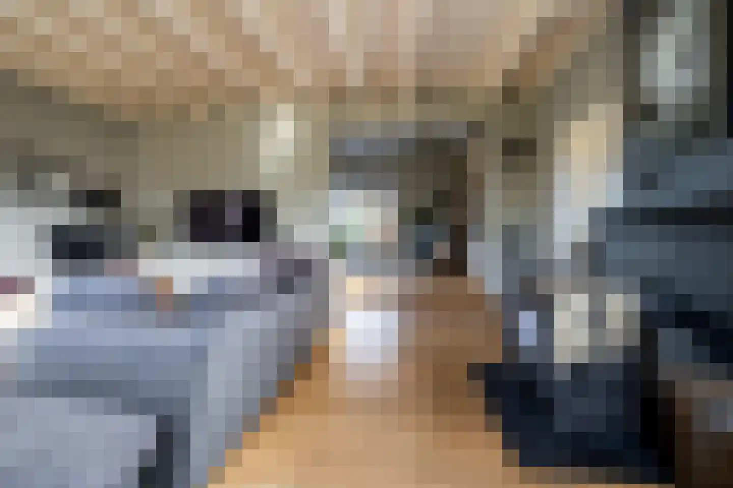 Bloemendaalse Zeedijk 2 Zevenbergschen Hoek thumbnail 10