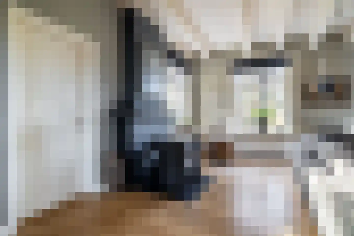 Bloemendaalse Zeedijk 2 Zevenbergschen Hoek thumbnail 11
