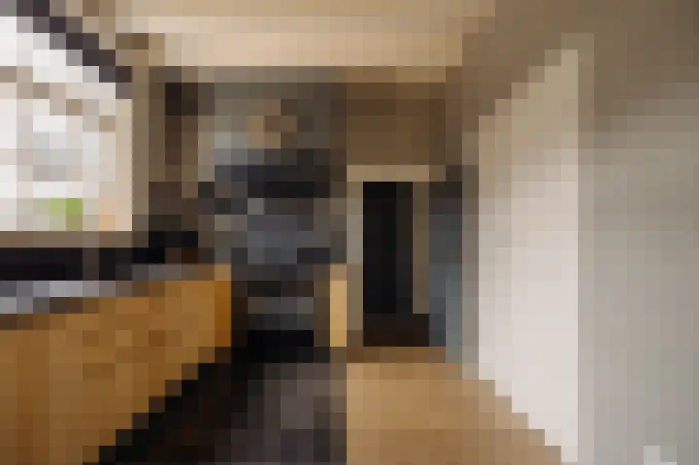 Bloemendaalse Zeedijk 2 Zevenbergschen Hoek thumbnail 12