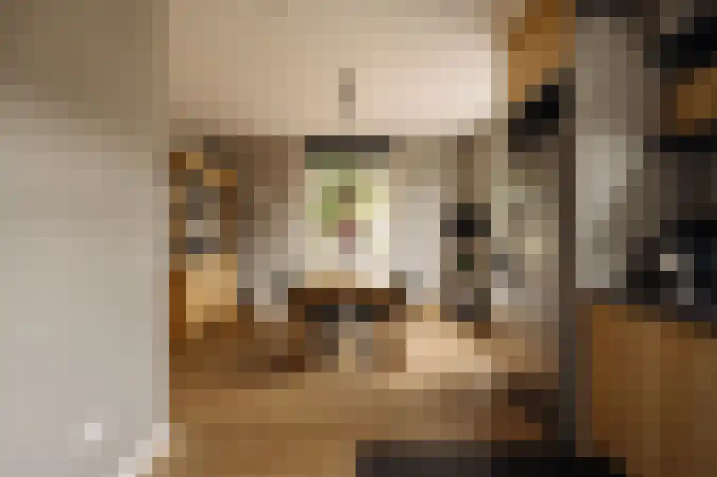 Bloemendaalse Zeedijk 2 Zevenbergschen Hoek thumbnail 13