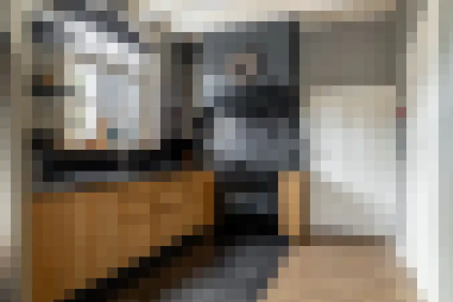 Bloemendaalse Zeedijk 2 Zevenbergschen Hoek thumbnail 21