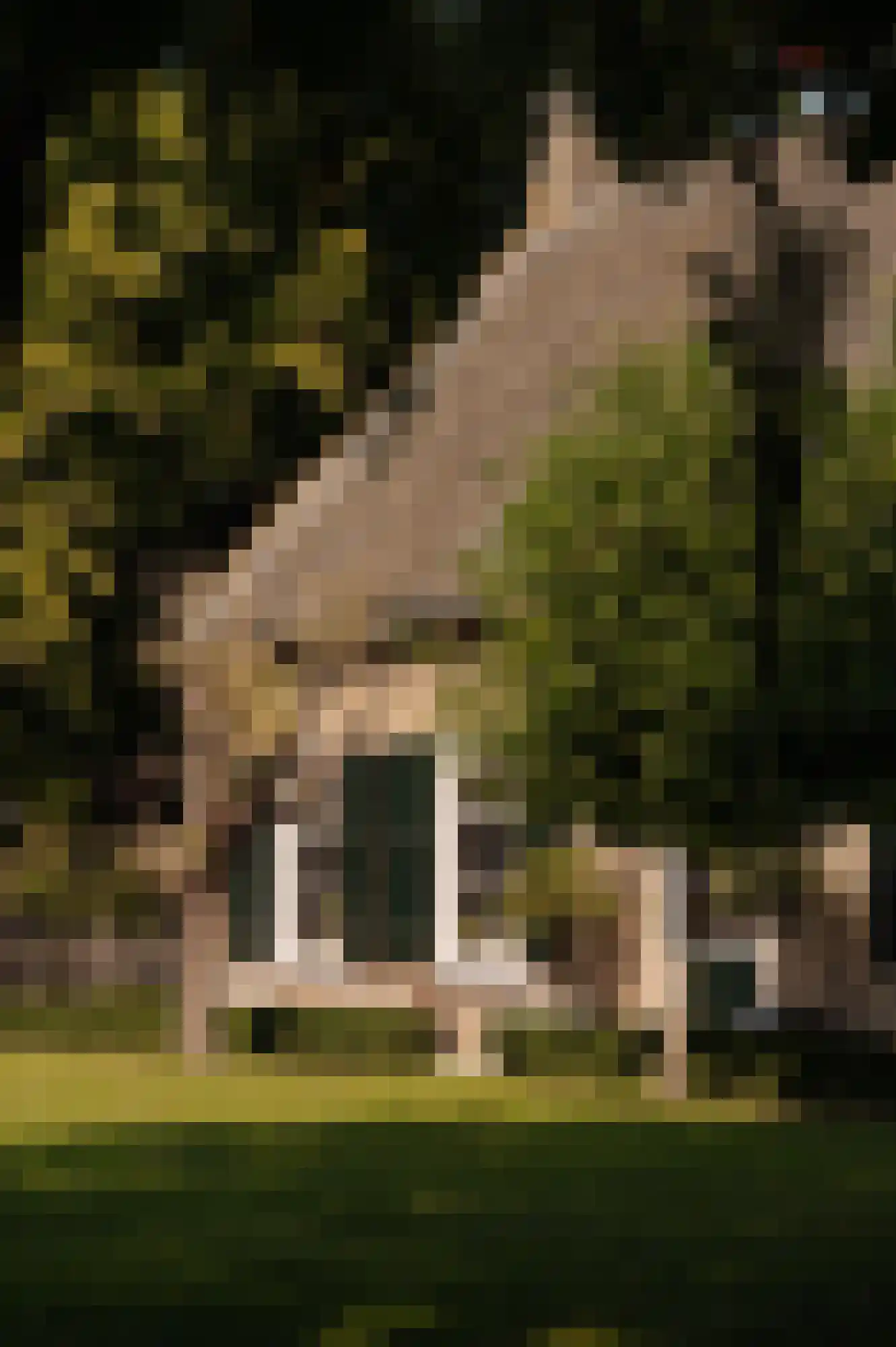 Bloemendaalse Zeedijk 2 Zevenbergschen Hoek thumbnail 26