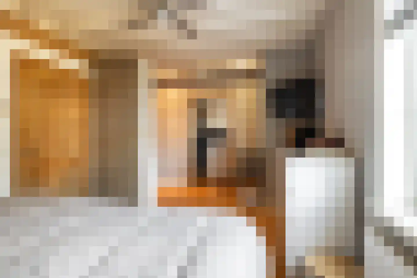 Bloemendaalse Zeedijk 2 Zevenbergschen Hoek thumbnail 27
