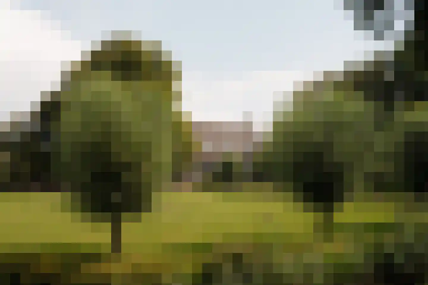 Bloemendaalse Zeedijk 2 Zevenbergschen Hoek thumbnail 28