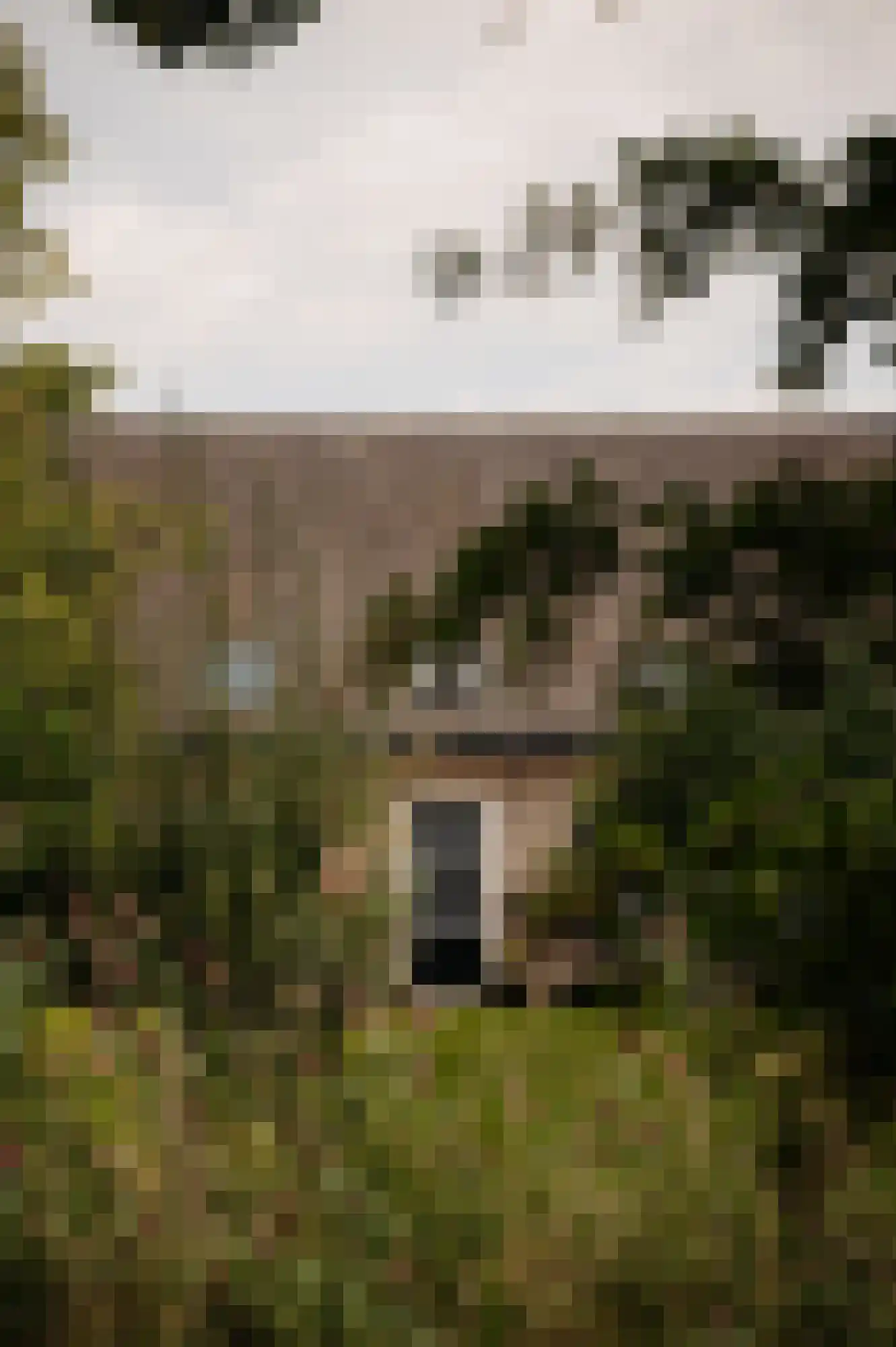 Bloemendaalse Zeedijk 2 Zevenbergschen Hoek thumbnail 30