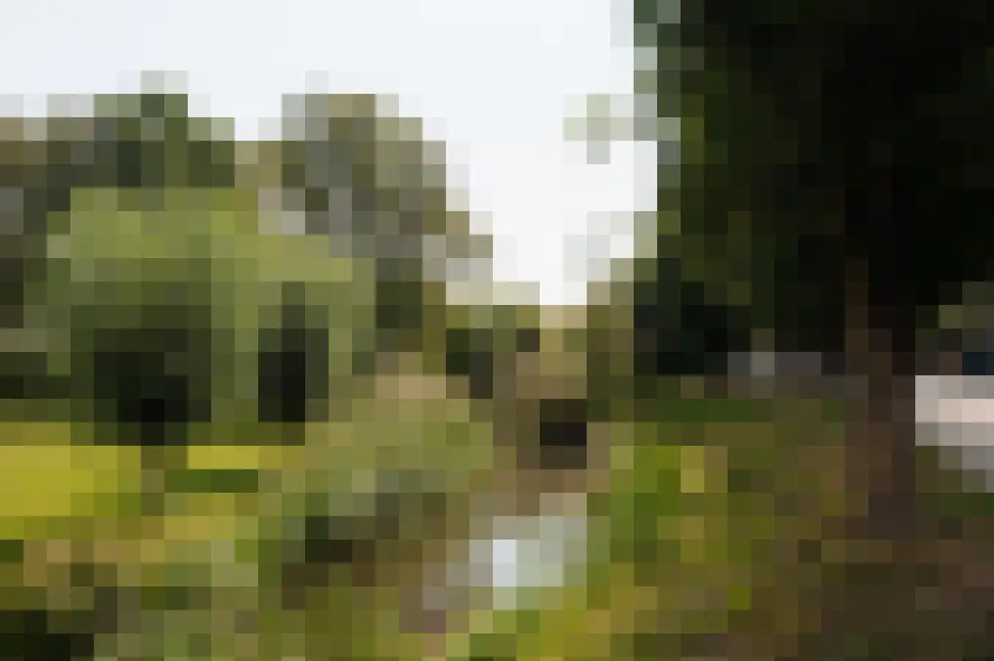 Bloemendaalse Zeedijk 2 Zevenbergschen Hoek thumbnail 31