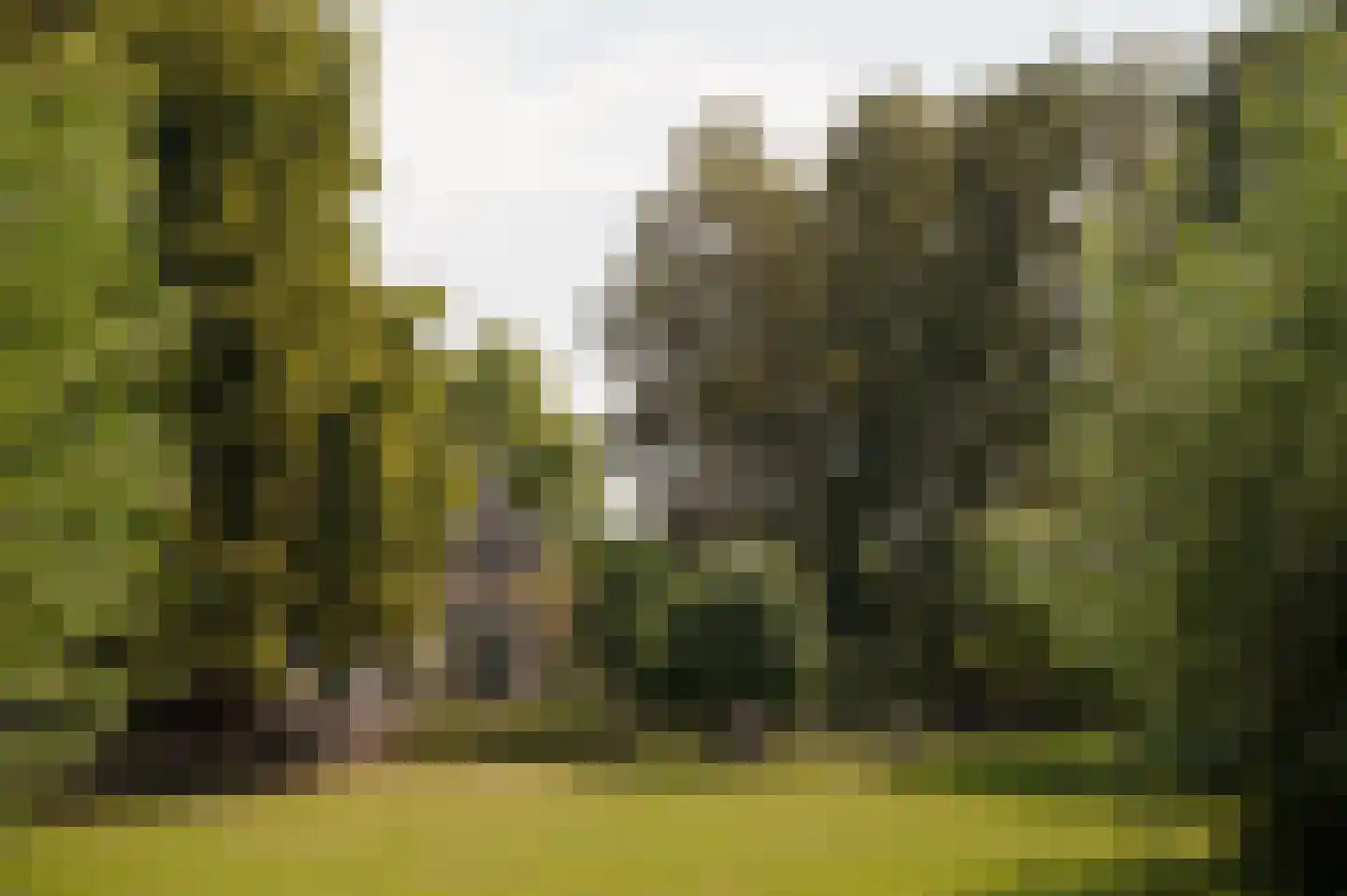 Bloemendaalse Zeedijk 2 Zevenbergschen Hoek thumbnail 32