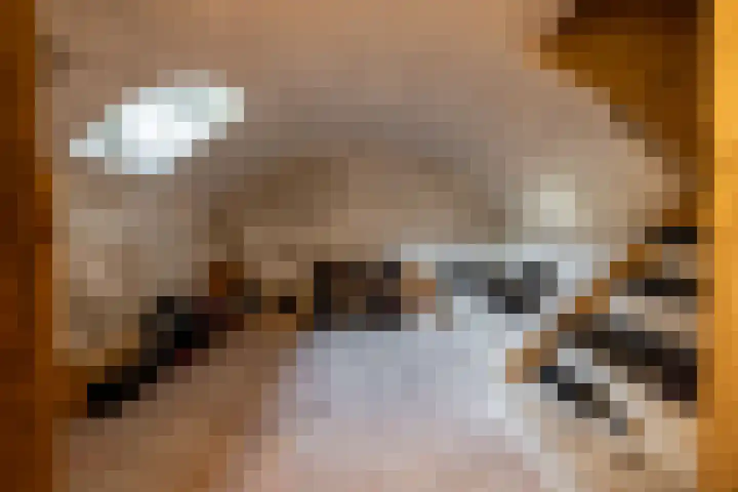 Bloemendaalse Zeedijk 2 Zevenbergschen Hoek thumbnail 39