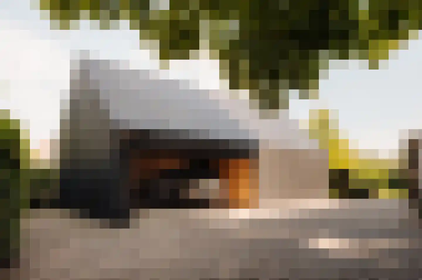 Bloemendaalse Zeedijk 2 Zevenbergschen Hoek thumbnail 4