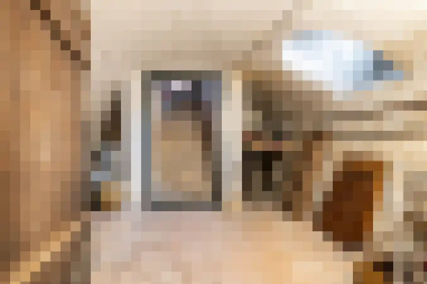 Bloemendaalse Zeedijk 2 Zevenbergschen Hoek thumbnail 40