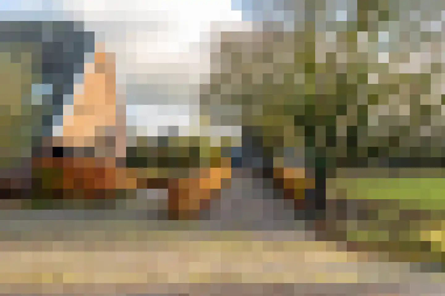 Bloemendaalse Zeedijk 2 Zevenbergschen Hoek thumbnail 45