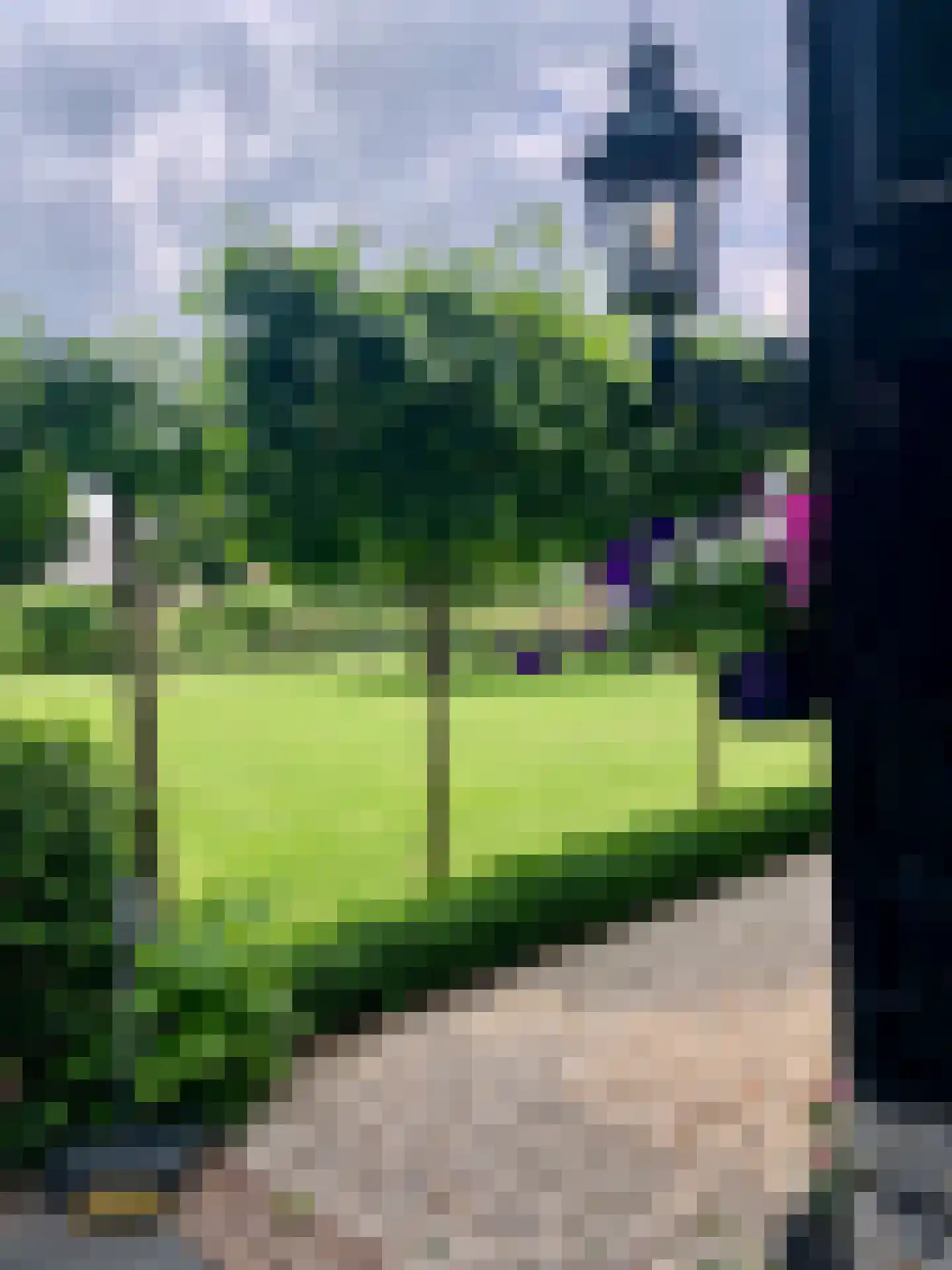 Bloemendaalse Zeedijk 2 Zevenbergschen Hoek thumbnail 47