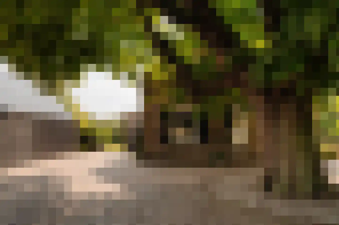 Bloemendaalse Zeedijk 2 Zevenbergschen Hoek thumbnail 5
