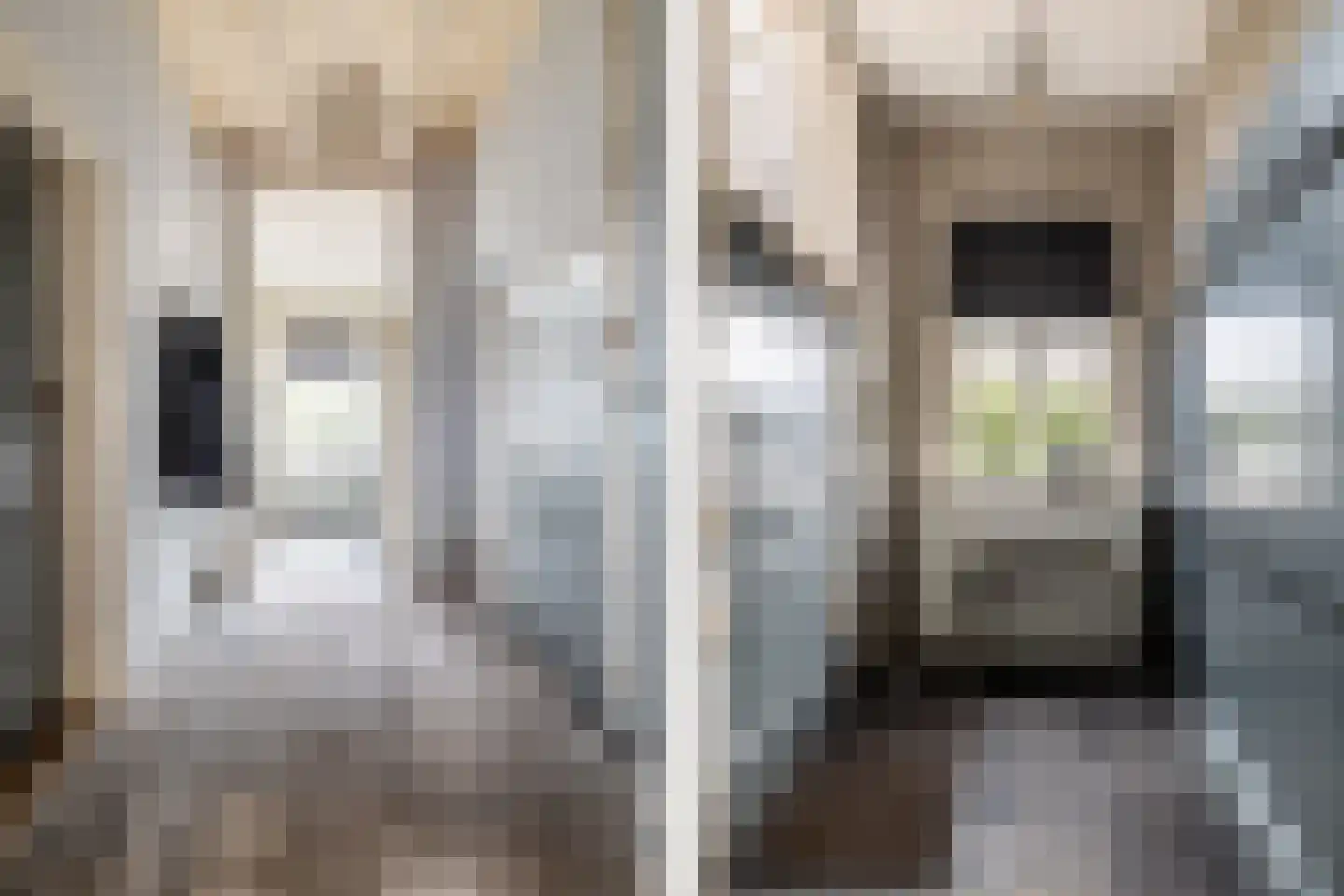 Bloemendaalse Zeedijk 2 Zevenbergschen Hoek thumbnail 5