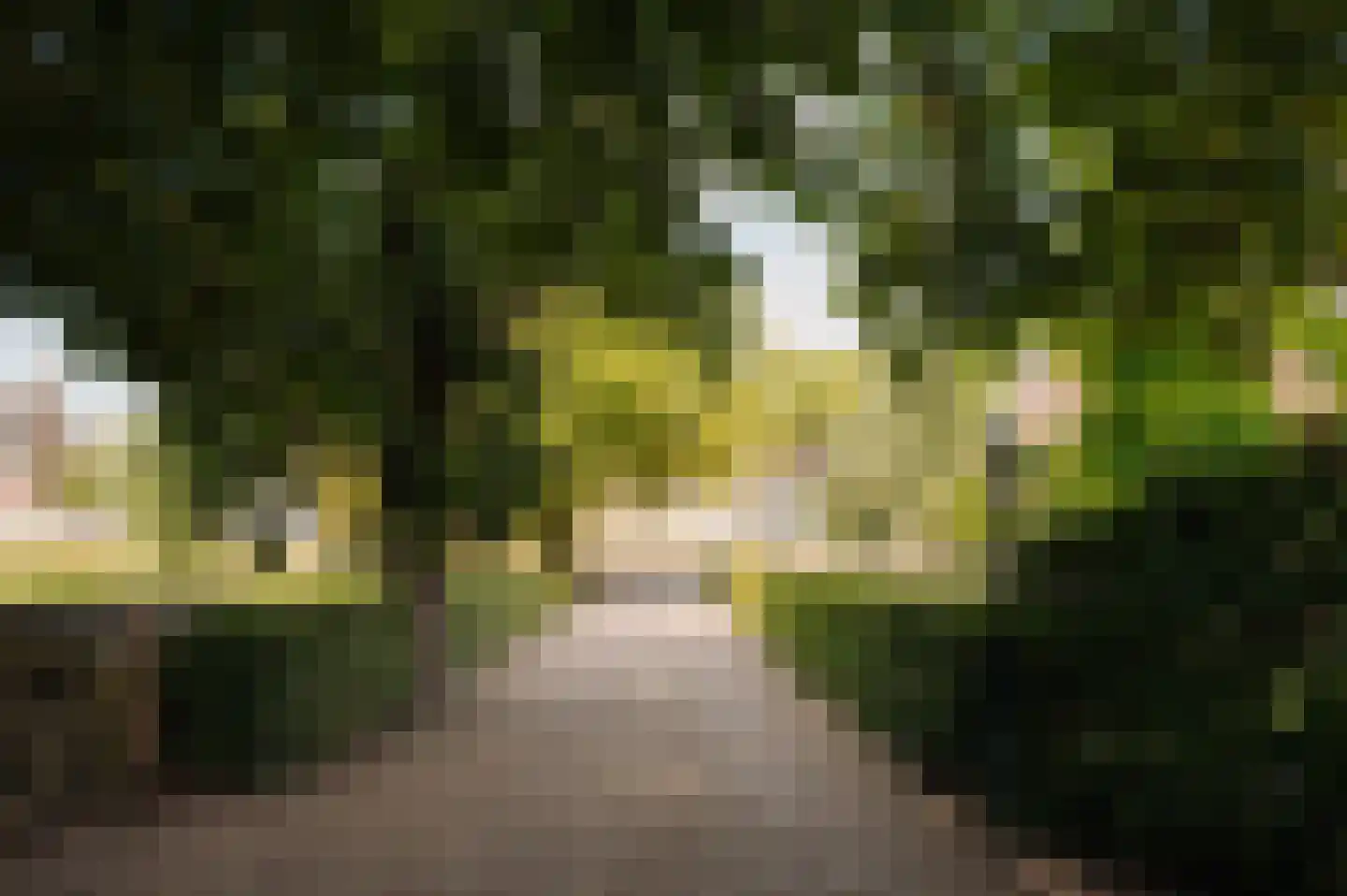 Bloemendaalse Zeedijk 2 Zevenbergschen Hoek thumbnail 52