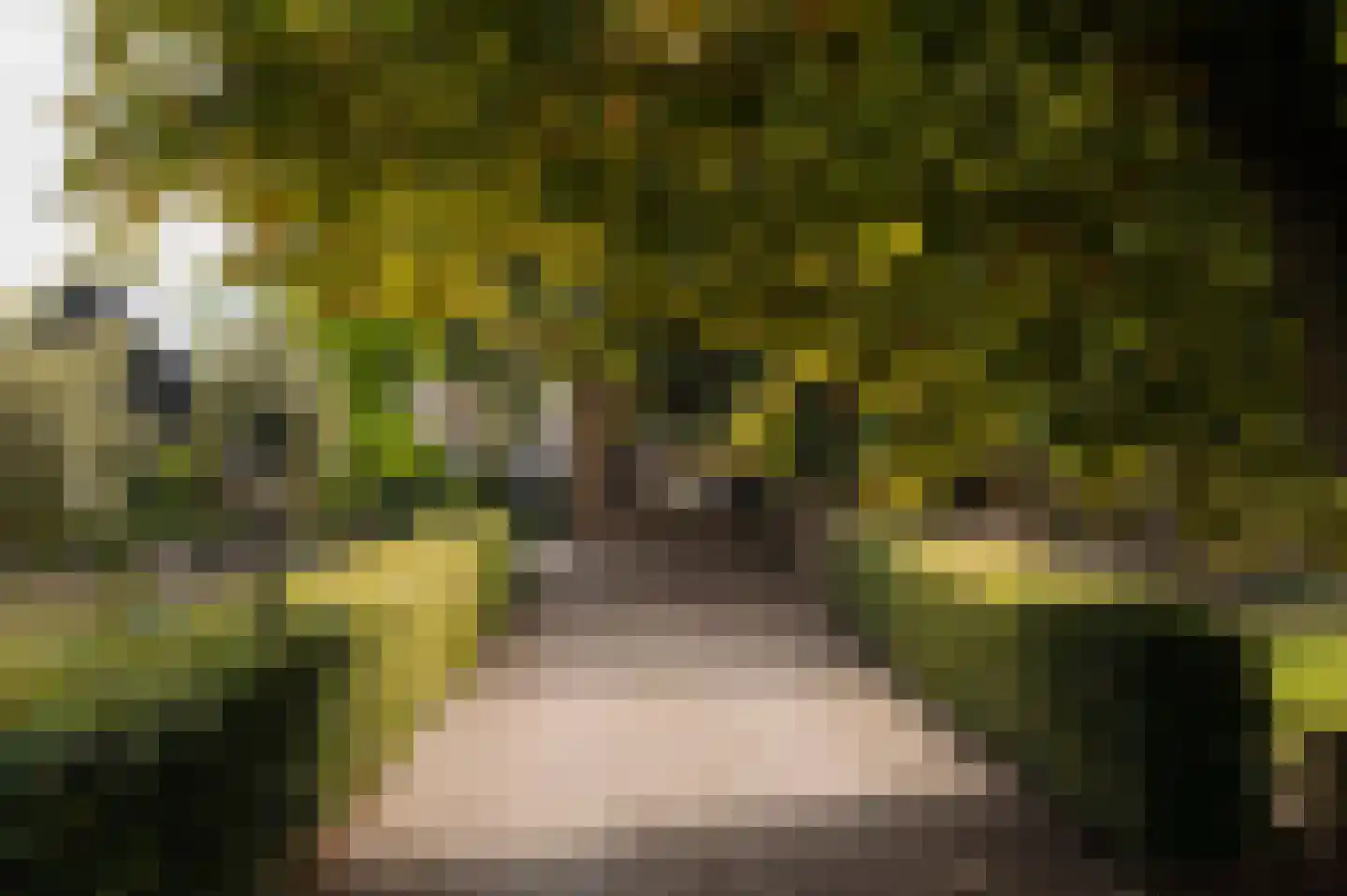 Bloemendaalse Zeedijk 2 Zevenbergschen Hoek thumbnail 53