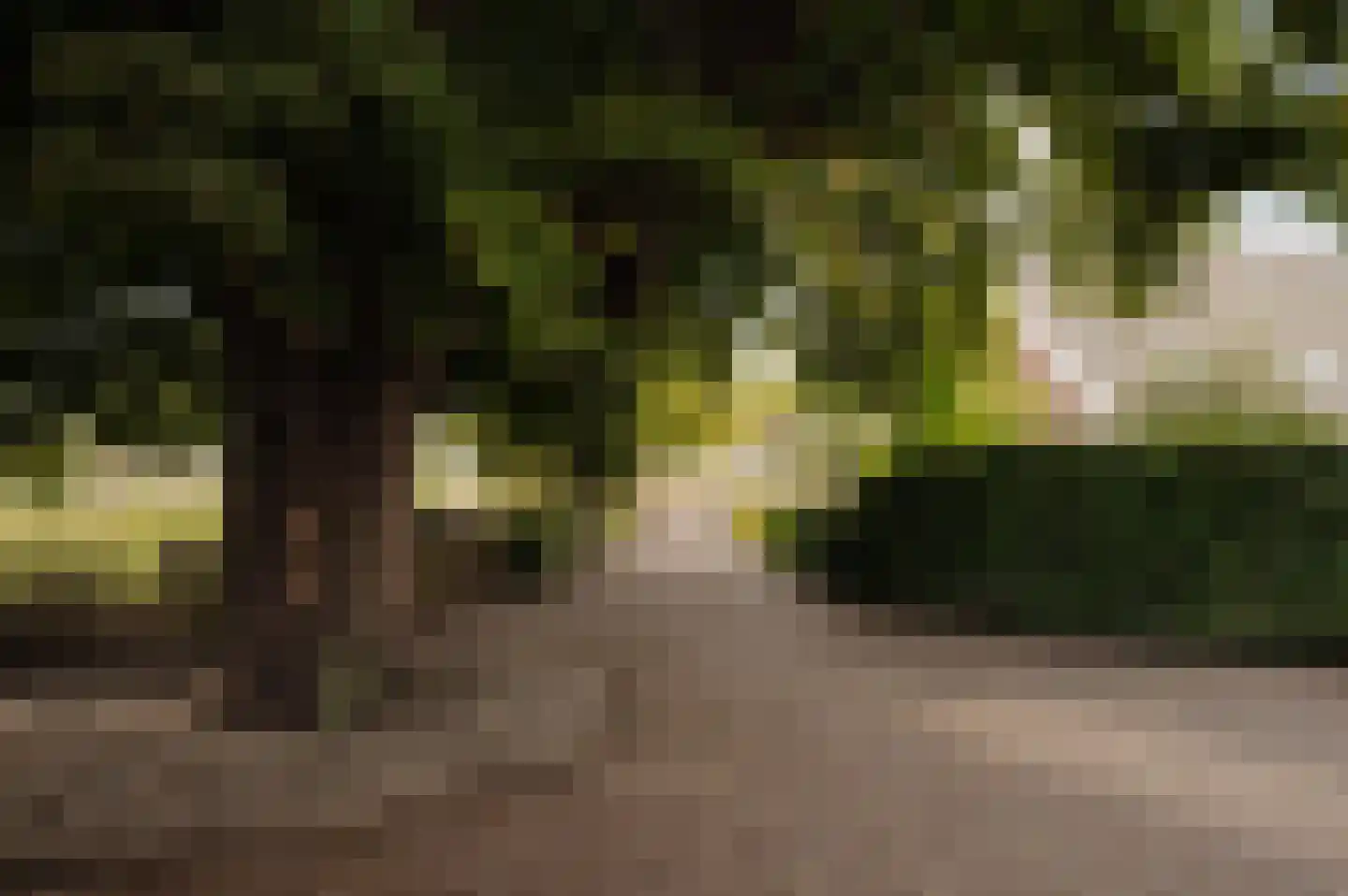 Bloemendaalse Zeedijk 2 Zevenbergschen Hoek thumbnail 56