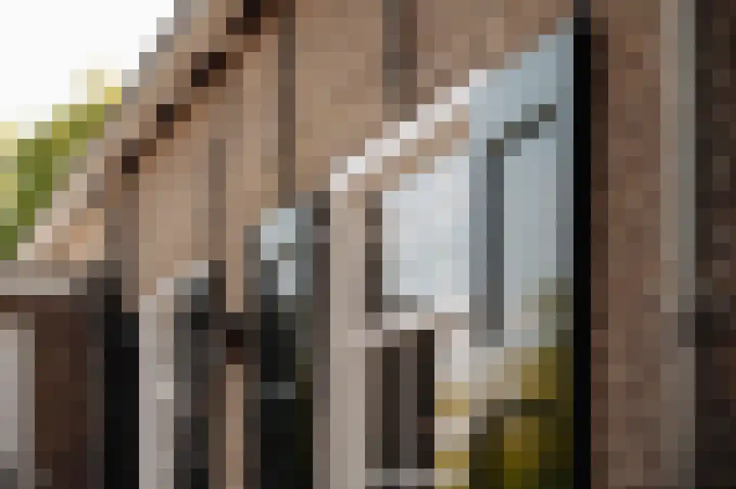 Bloemendaalse Zeedijk 2 Zevenbergschen Hoek thumbnail 57