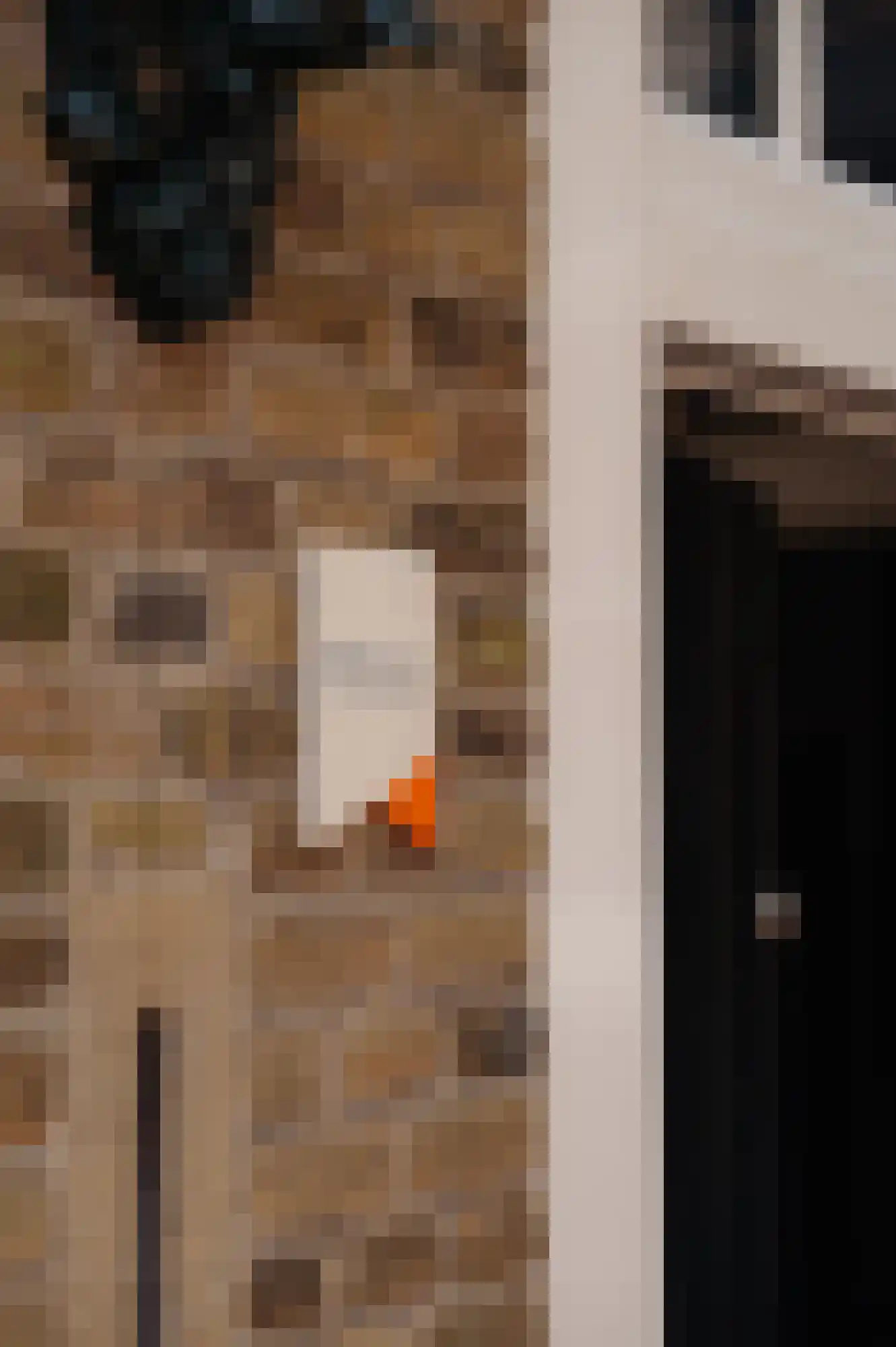 Bloemendaalse Zeedijk 2 Zevenbergschen Hoek thumbnail 6
