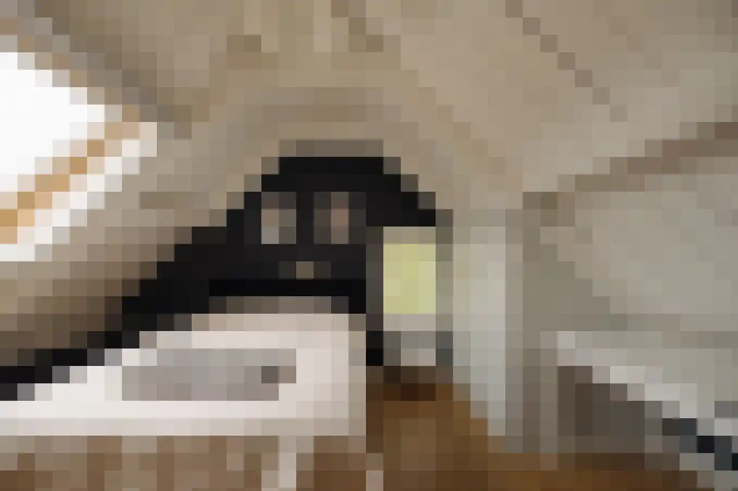 Bloemendaalse Zeedijk 2 Zevenbergschen Hoek thumbnail 63