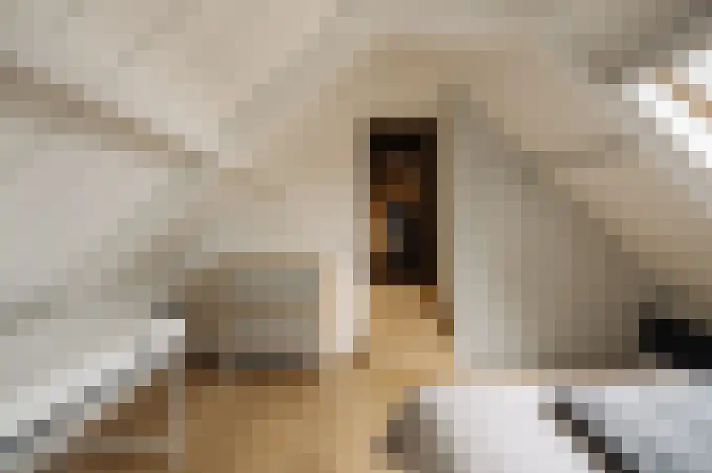 Bloemendaalse Zeedijk 2 Zevenbergschen Hoek thumbnail 64