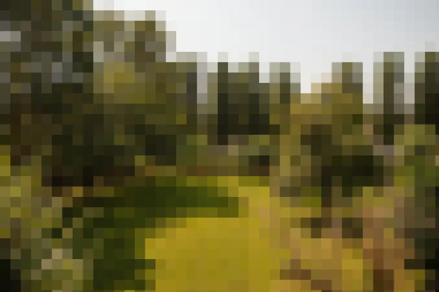 Bloemendaalse Zeedijk 2 Zevenbergschen Hoek thumbnail 70