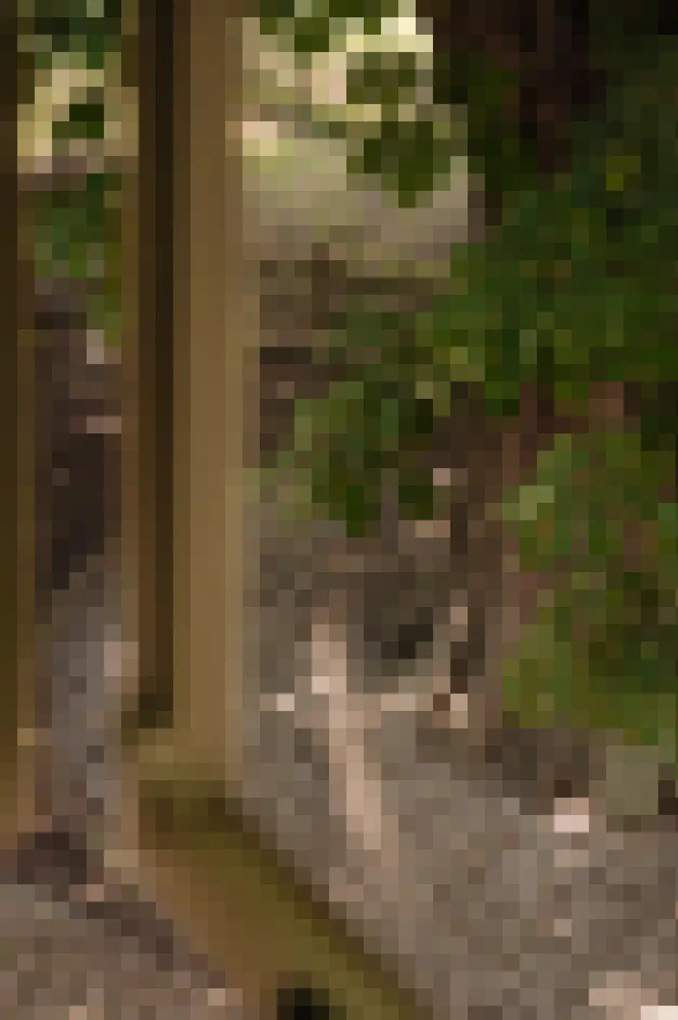 Bloemendaalse Zeedijk 2 Zevenbergschen Hoek thumbnail 80