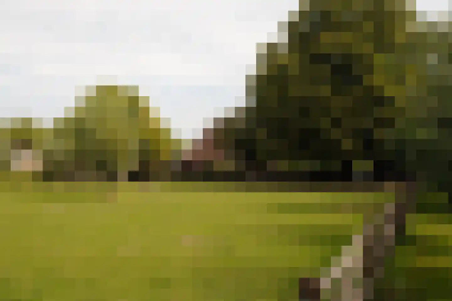 Bloemendaalse Zeedijk 2 Zevenbergschen Hoek thumbnail 86
