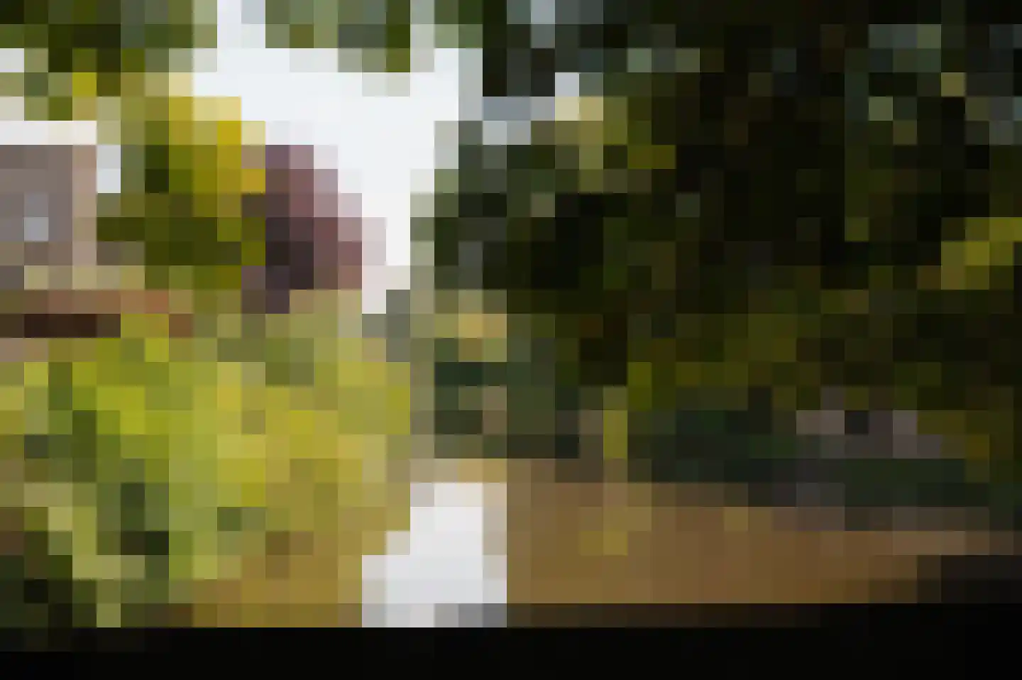 Bloemendaalse Zeedijk 2 Zevenbergschen Hoek thumbnail 88