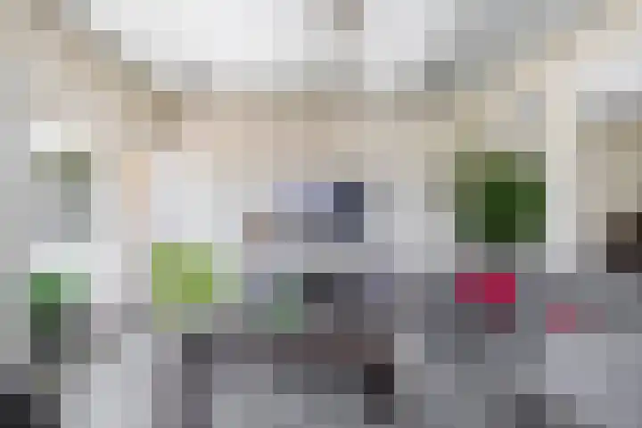Bloemendaalse Zeedijk 43 Zevenbergschen Hoek thumbnail 13