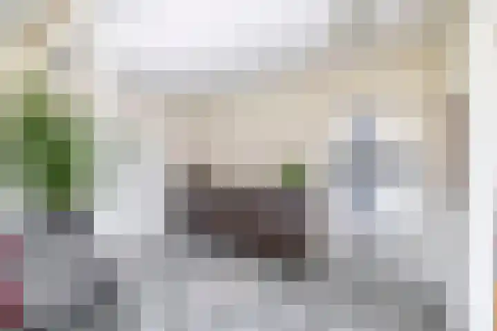 Bloemendaalse Zeedijk 43 Zevenbergschen Hoek thumbnail 14