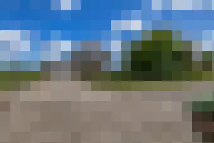Bloemendaalse Zeedijk 43 Zevenbergschen Hoek thumbnail 4
