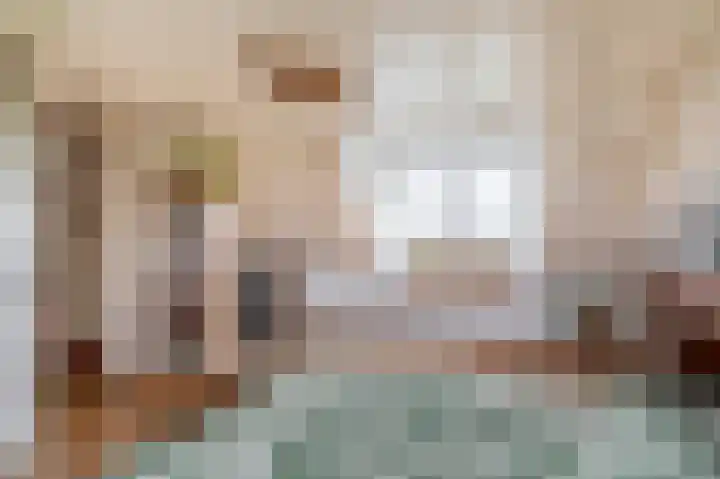 Bloemendaalse Zeedijk 43 Zevenbergschen Hoek thumbnail 43