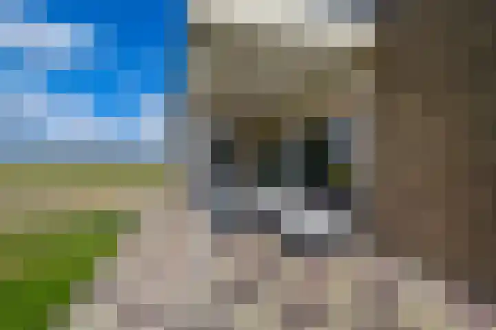 Bloemendaalse Zeedijk 43 Zevenbergschen Hoek thumbnail 47
