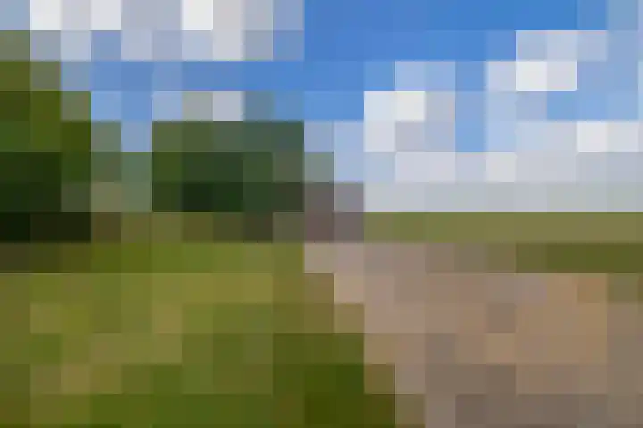 Bloemendaalse Zeedijk 43 Zevenbergschen Hoek thumbnail 54