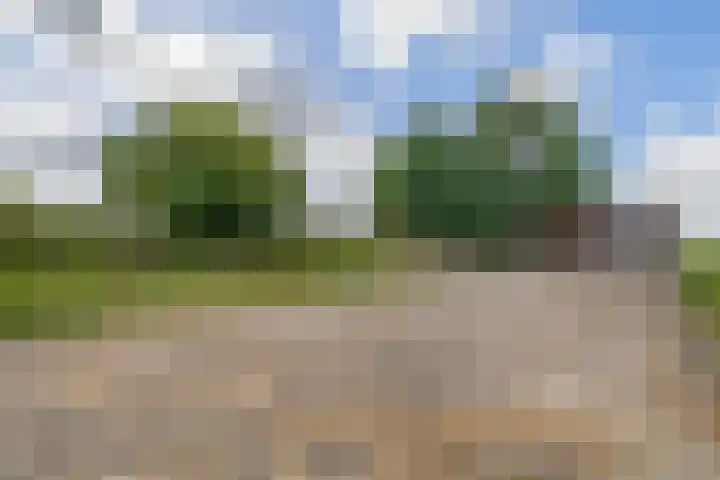 Bloemendaalse Zeedijk 43 Zevenbergschen Hoek thumbnail 55