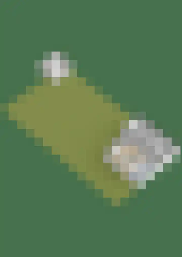Bloemendaalse Zeedijk 43 Zevenbergschen Hoek thumbnail 76