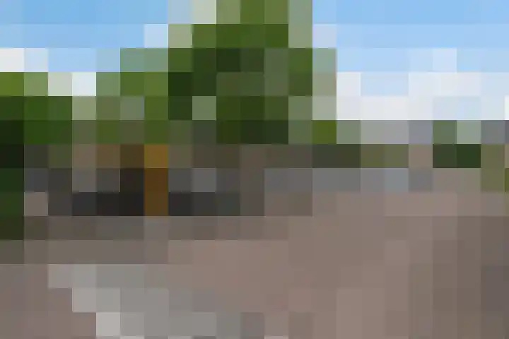 Bloemendaalselaan 38 Leiderdorp thumbnail 31