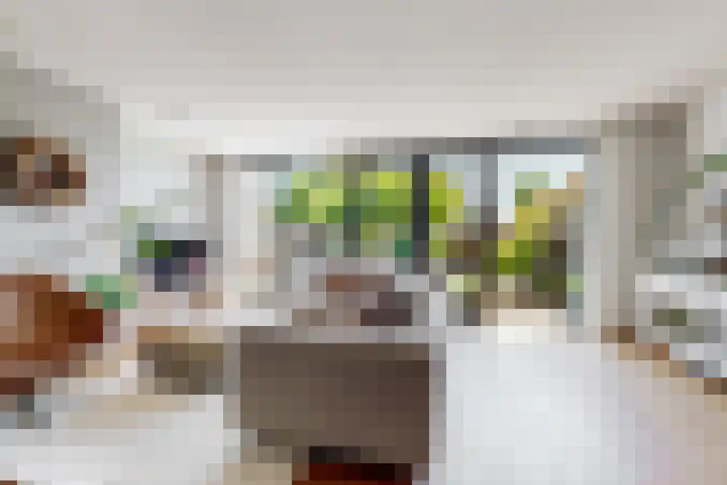 Bloemendaalselaan 62 Leiderdorp thumbnail 12