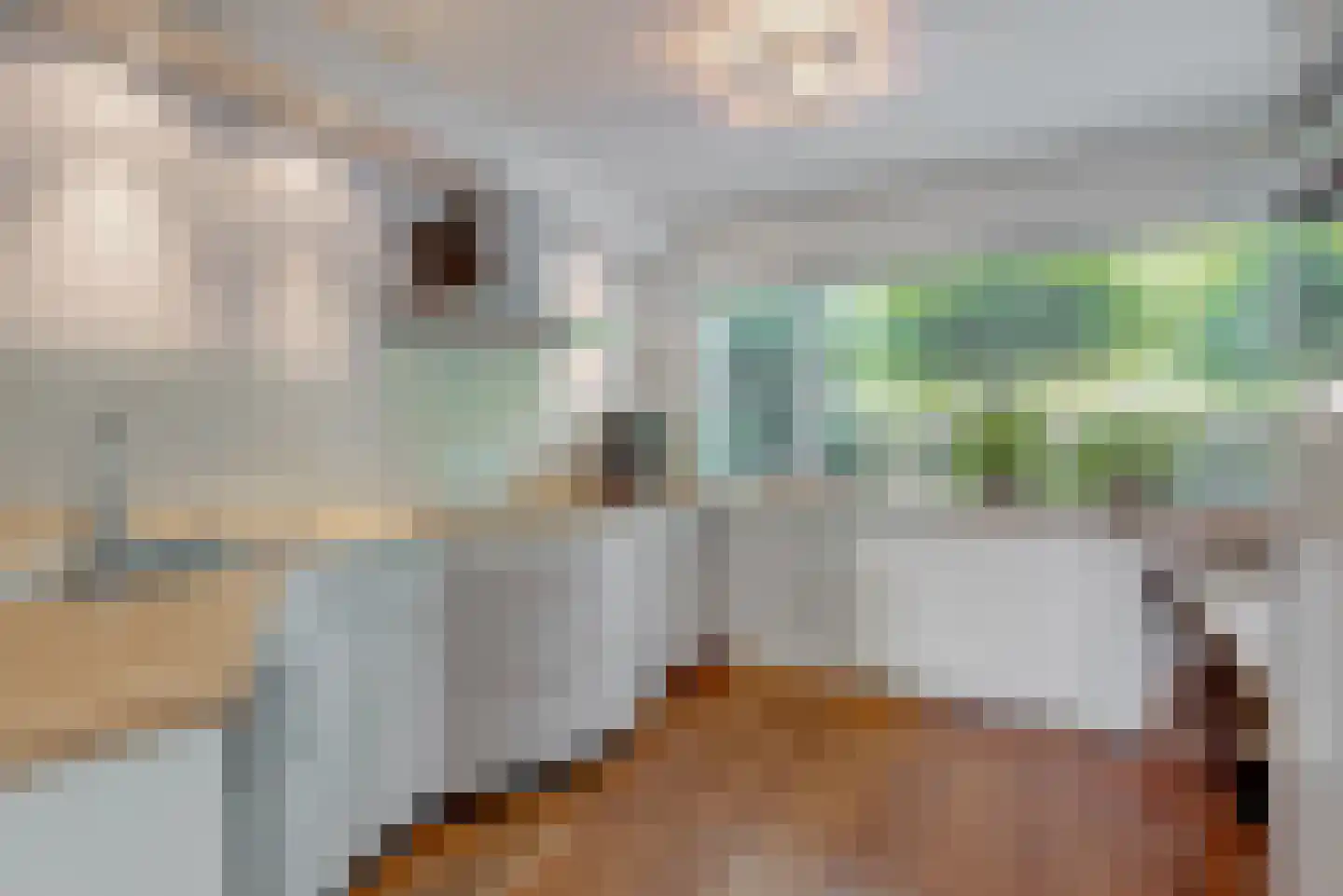 Bloemendaalselaan 62 Leiderdorp thumbnail 15