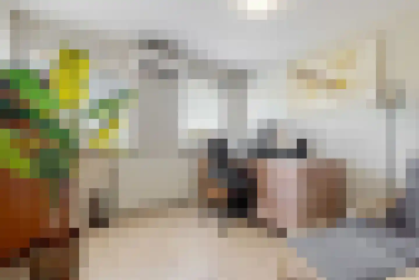 Bloemendaalselaan 62 Leiderdorp thumbnail 27