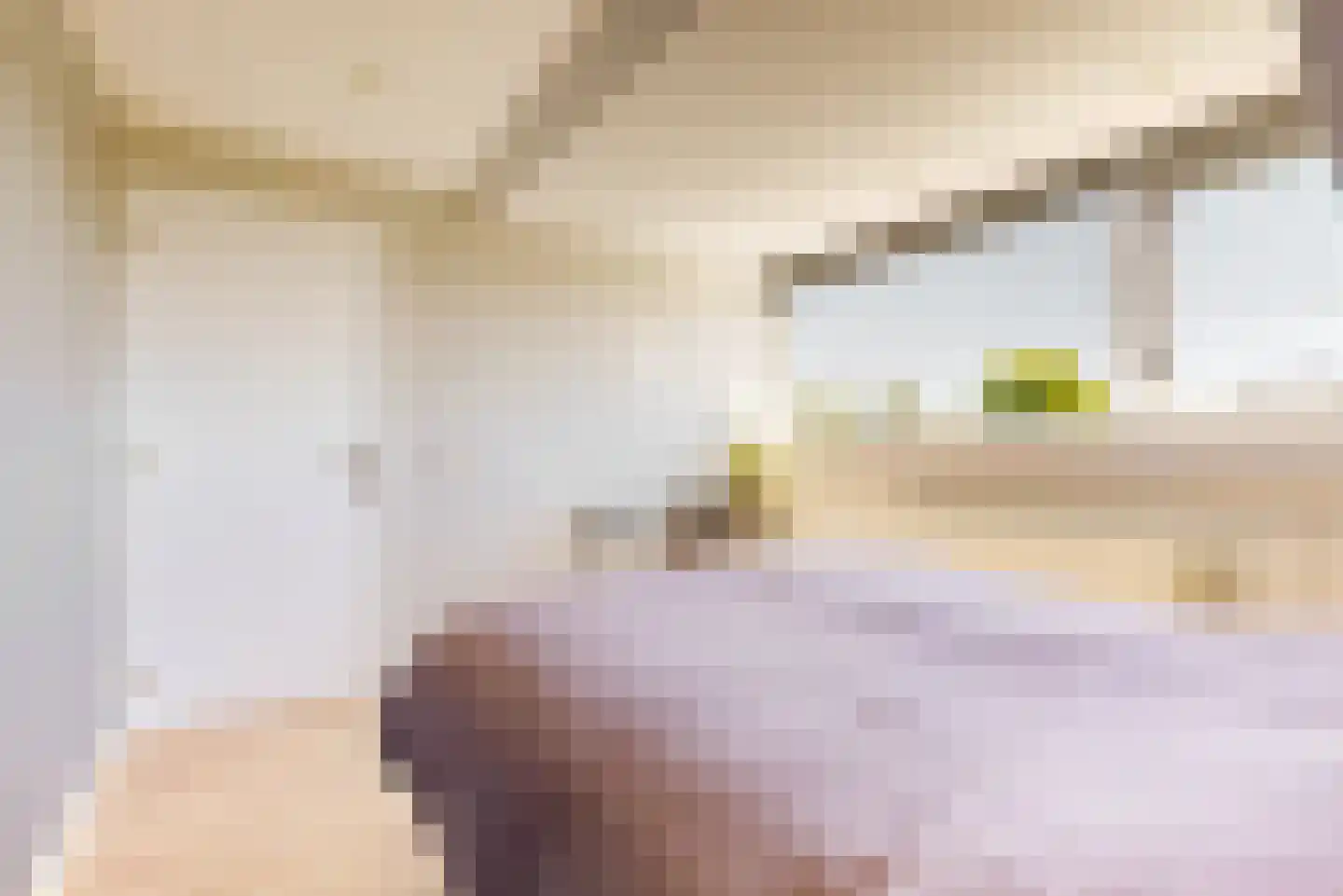 Bloemendaalselaan 62 Leiderdorp thumbnail 41