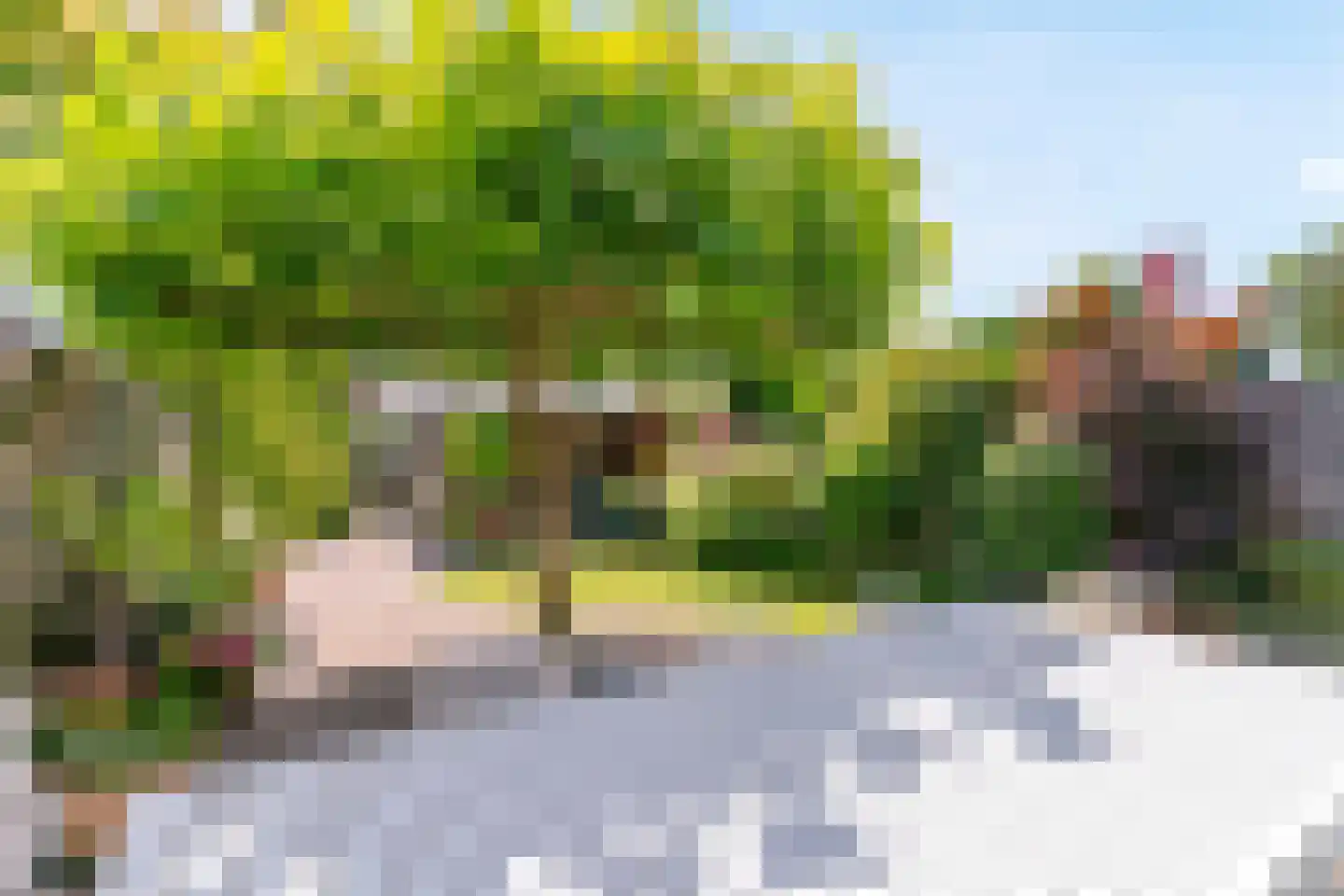 Bloemendaalselaan 62 Leiderdorp thumbnail 43