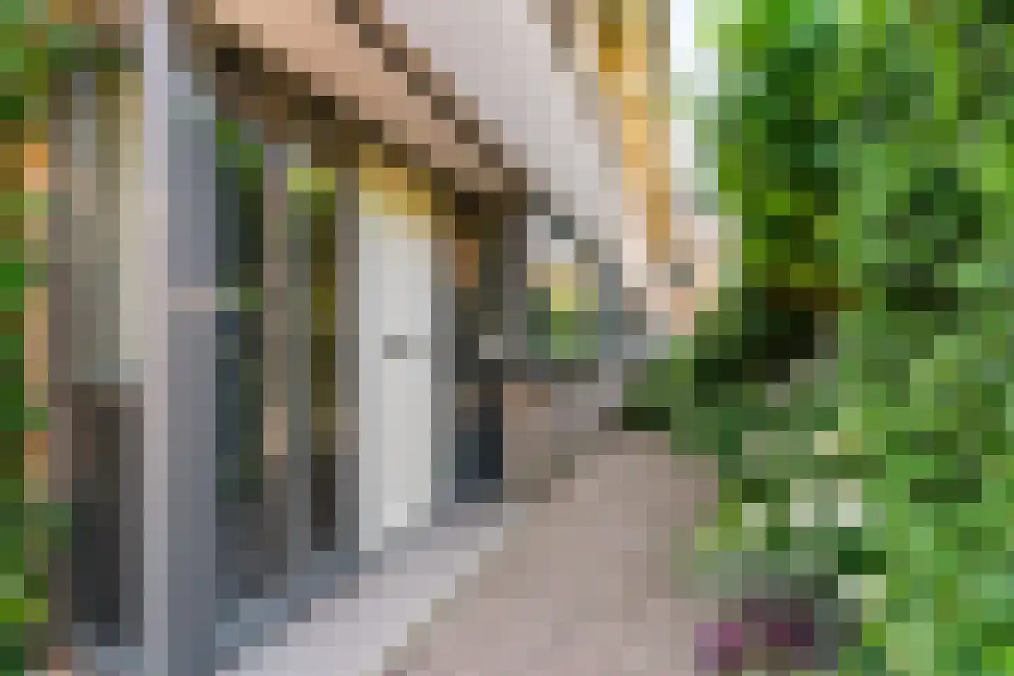 Bloemendaalselaan 62 Leiderdorp thumbnail 5