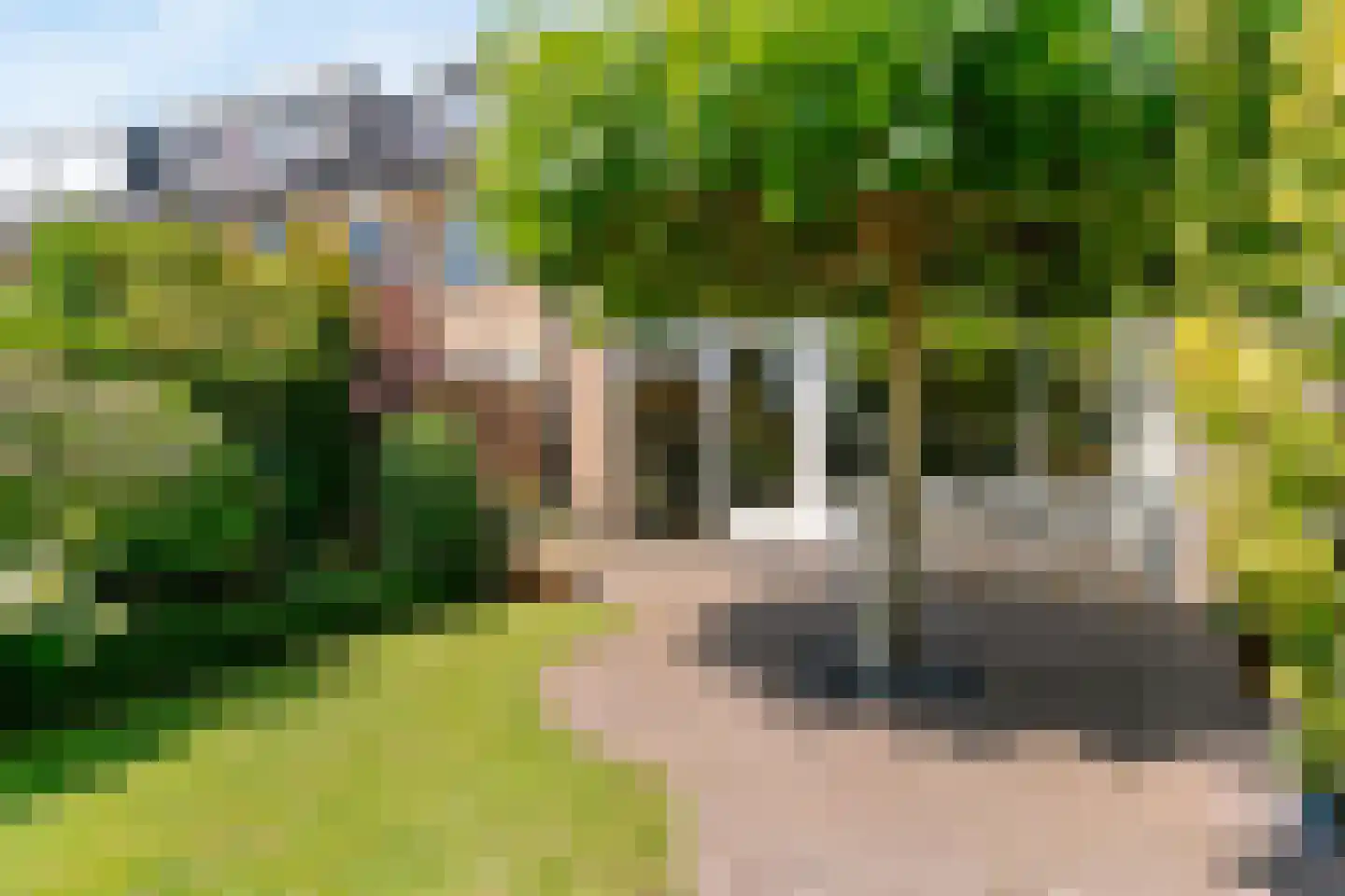 Bloemendaalselaan 62 Leiderdorp thumbnail 50